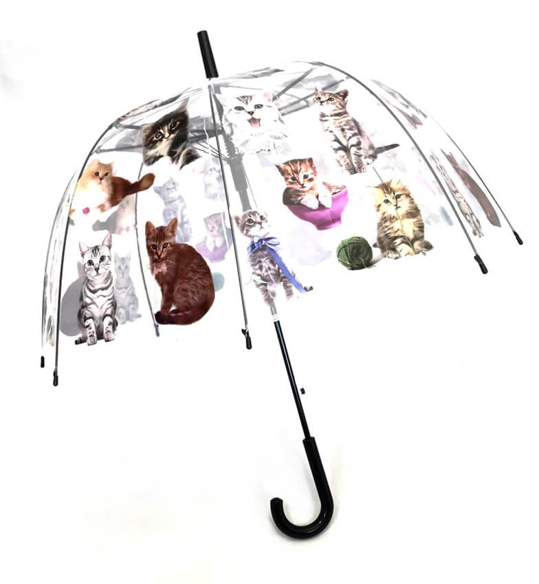 Paraguas-transparente-gatos