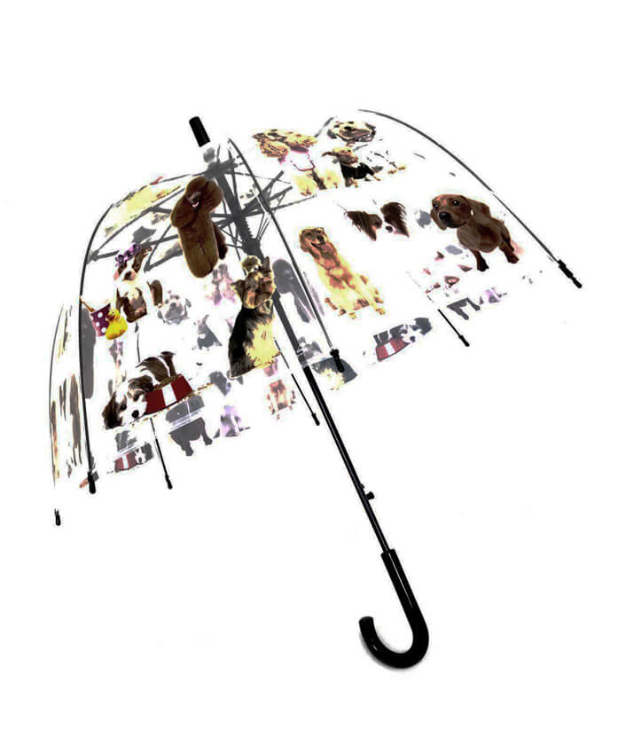 Paraguas transparente perros